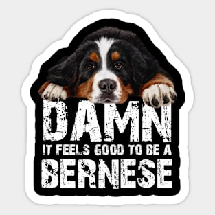bernese mountain dog Sticker